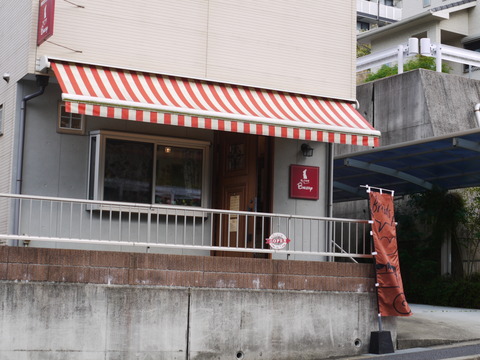 P1060113