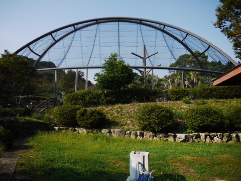 P1020577