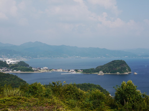 P1020551