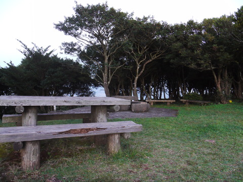 P1040576