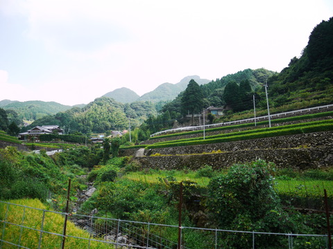 P1020495