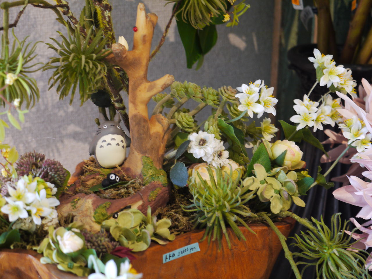 佐世保市権常寺の花と雑貨店 Lotti ながナビ させぼナビ 長崎県内旅行部