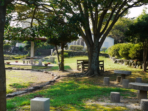 P1020576