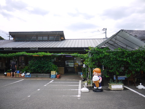 P1150164