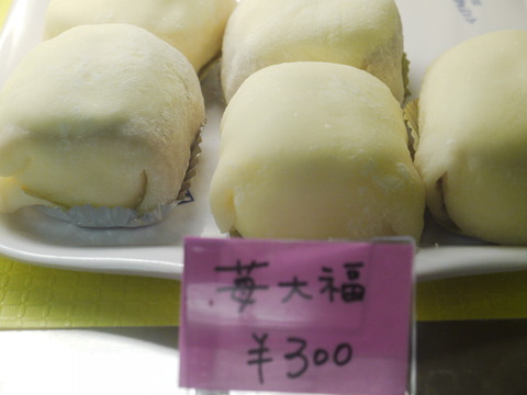 P1060307