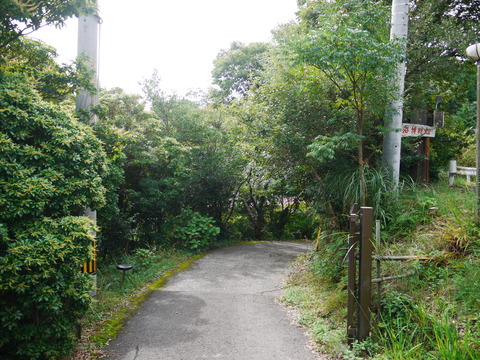 P1020878