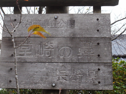 P1070328