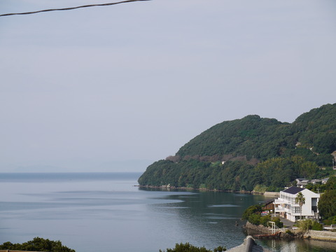 P1050944