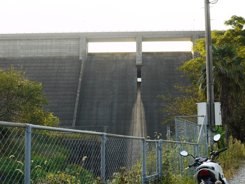 P1010347