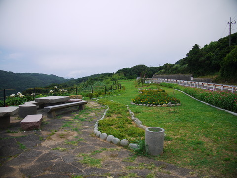 P1130663