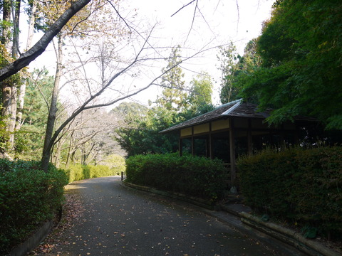 P1050339