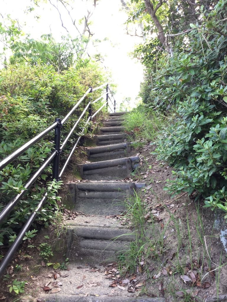 佐世保市鹿子前町の神社 恵比寿神社 させぼナビ 佐世保観光部