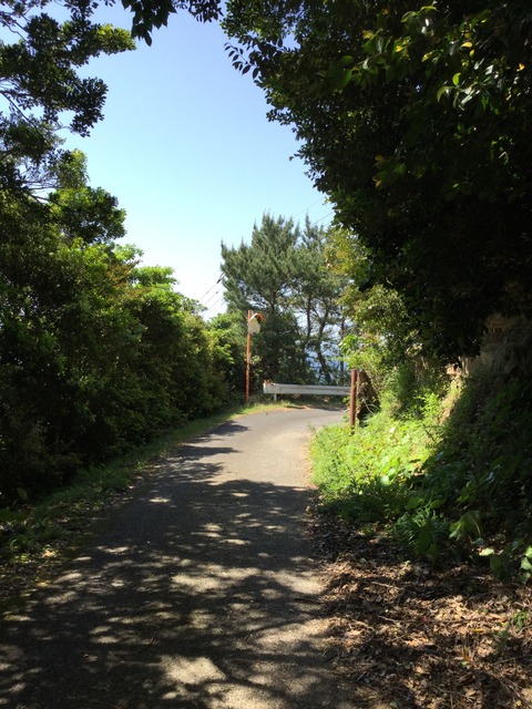 写真 2016-05-04 13 59 18