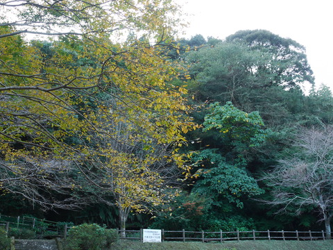 P1050547