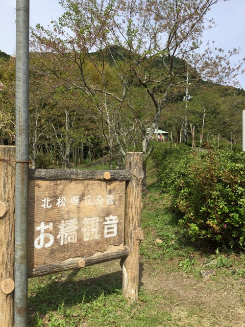 写真 2016-04-10 14 36 12