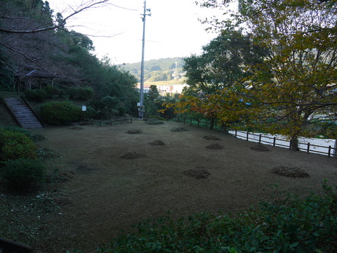 P1050544