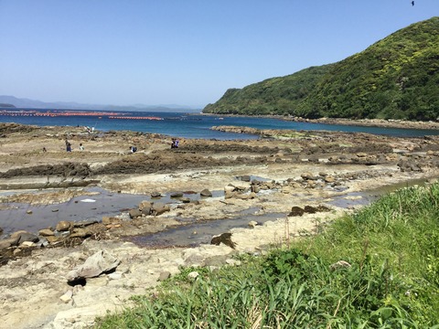 写真 2016-05-04 14 18 05