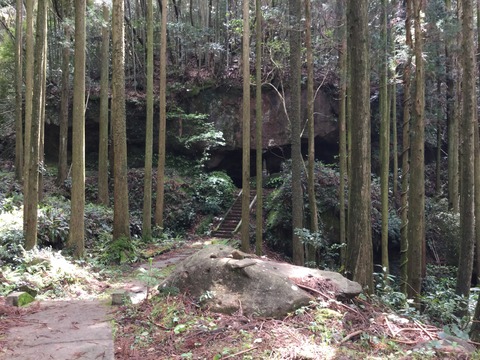 写真 2016-04-17 14 05 44