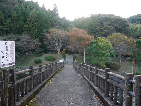 P1050535