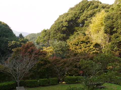 P1050385