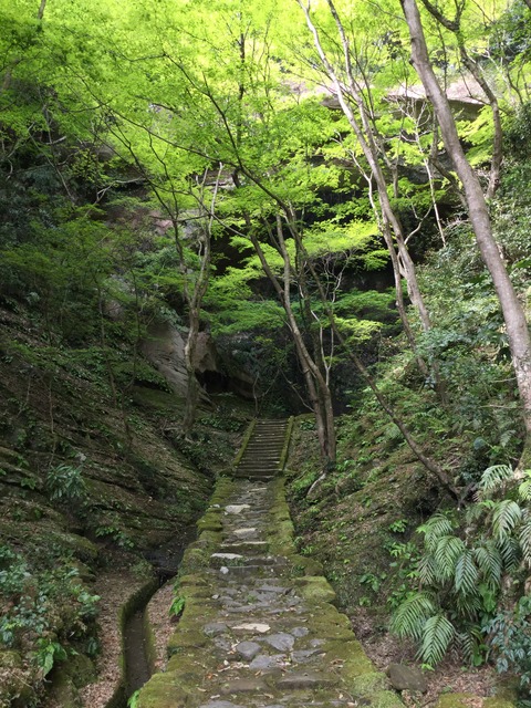 写真 2016-04-10 14 47 25