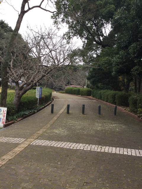 写真 2015-12-20 15 34 36
