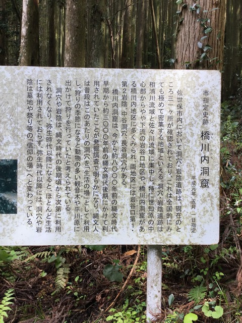 写真 2016-04-17 14 05 21