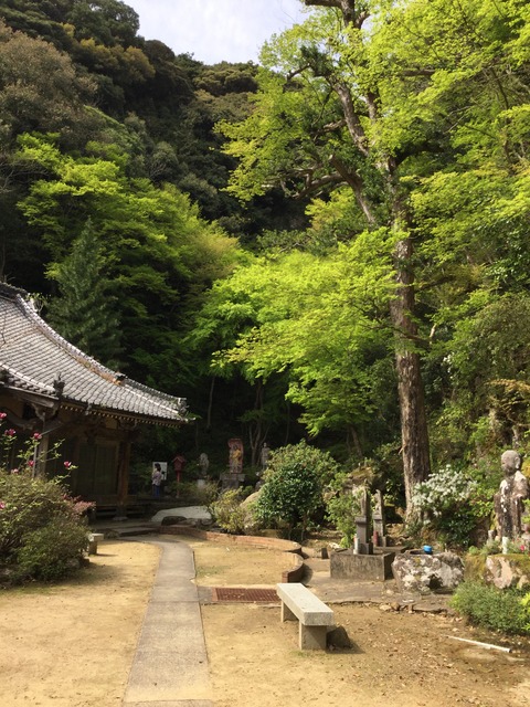 写真 2016-04-10 14 46 41