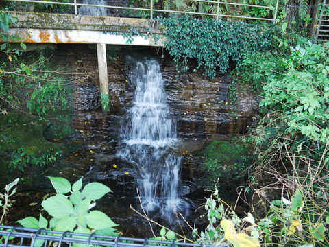 P1050549