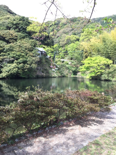 写真 2016-04-10 14 39 15