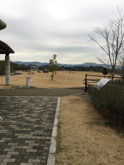 写真 2015-12-20 16 02 21