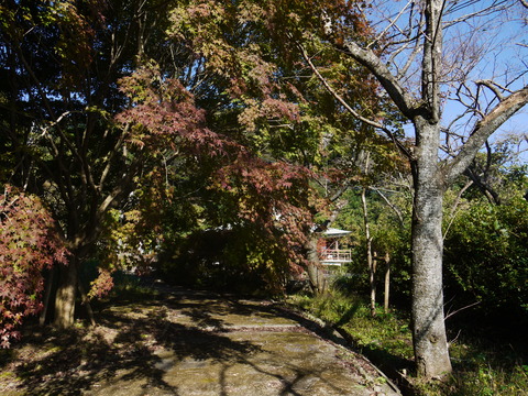 P1050456