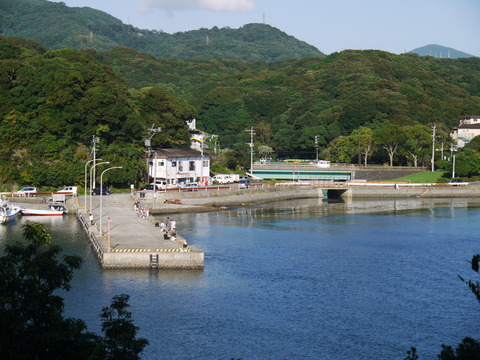 P1030817