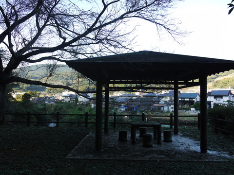 P1050555
