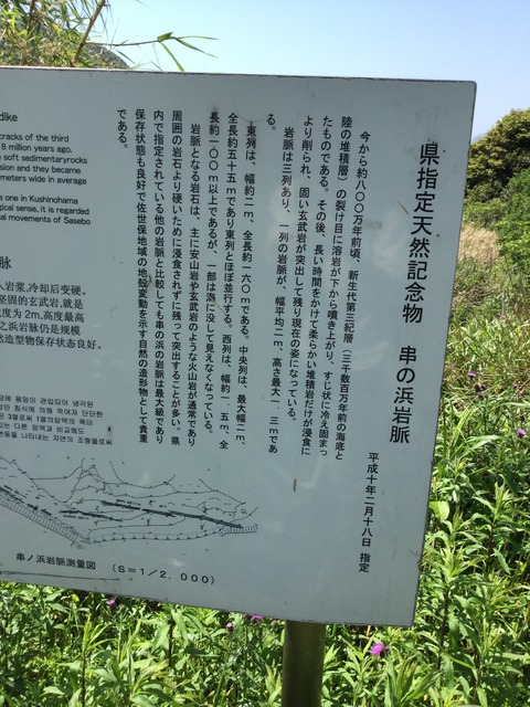 写真 2016-05-04 14 07 58