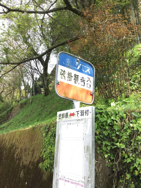 写真 2016-04-10 14 25 25