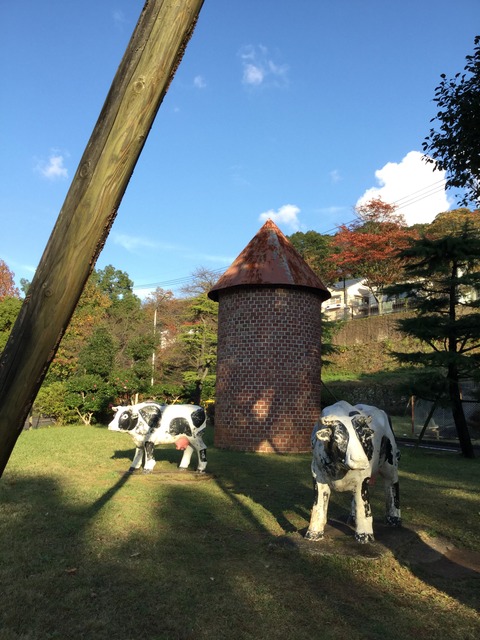 写真 2015-11-15 15 58 50
