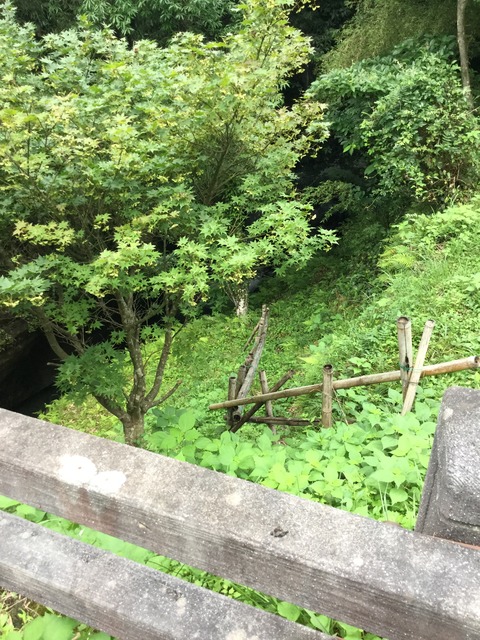遏ウ讖欺蜀咏悄 2016-07-04 17 49 18