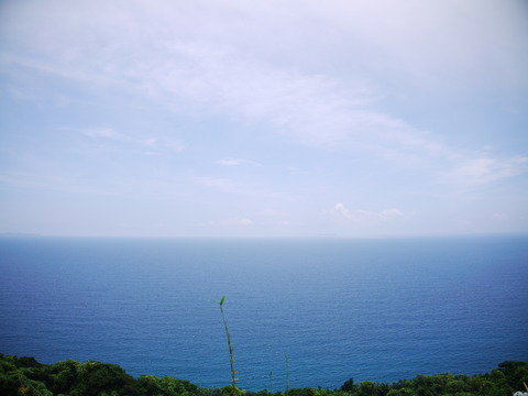 P1130664