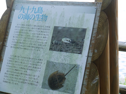 P1030814