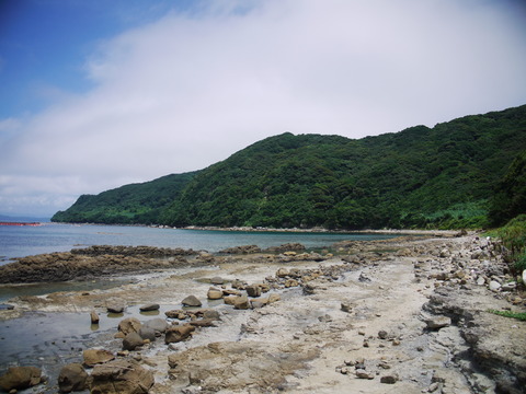 P1130709