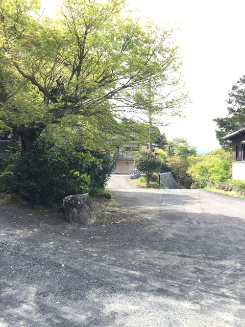 写真 2016-04-10 14 23 09
