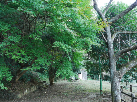 P1050551