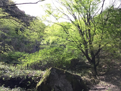 写真 2016-04-10 14 41 14