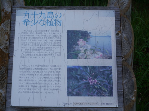 P1030818