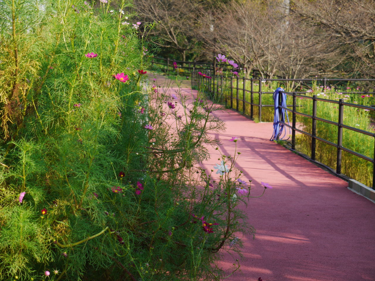 佐世保市黒髪町の 猫山ダム させぼナビ 佐世保観光部