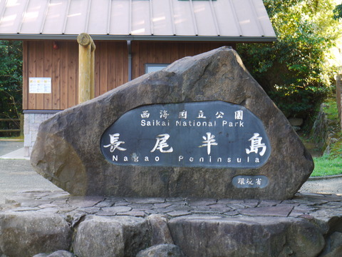 P1030790