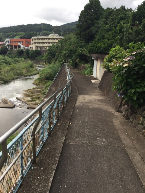遏ウ讖欺蜀咏悄 2016-07-04 17 26 45