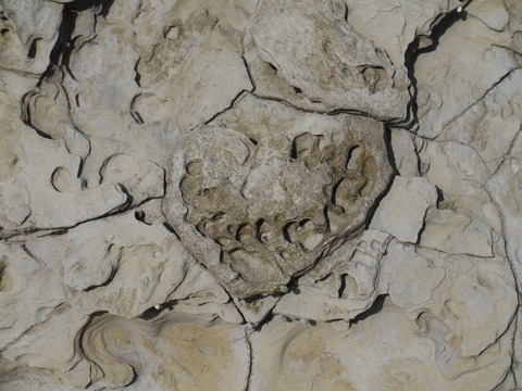 P1130713