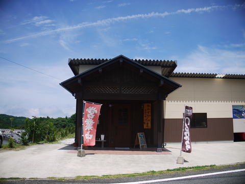 P1130559